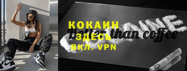 дживик Богородицк