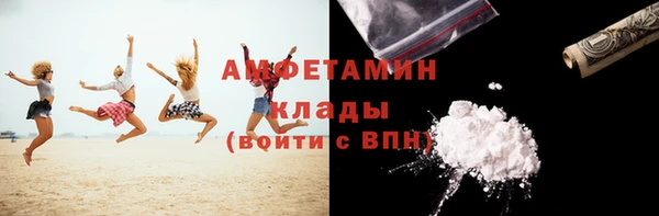 бошки Белокуриха