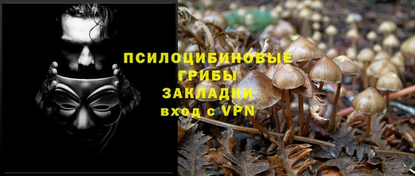 не бодяженный Богданович