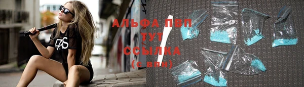дживик Богородицк