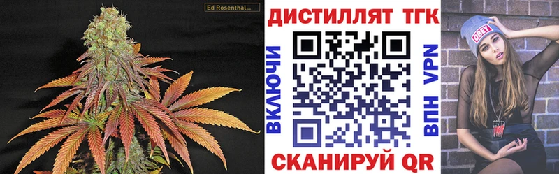 где продают   Злынка  ТГК концентрат 
