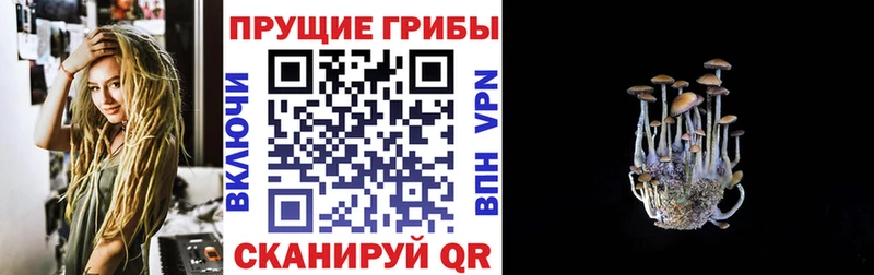 Галлюциногенные грибы Magic Shrooms  Злынка 