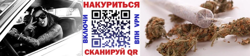 Марихуана семена Злынка